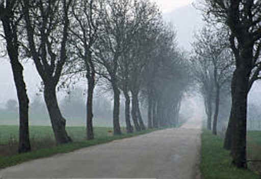 MAINIMAGE.BMP (540726 bytes)